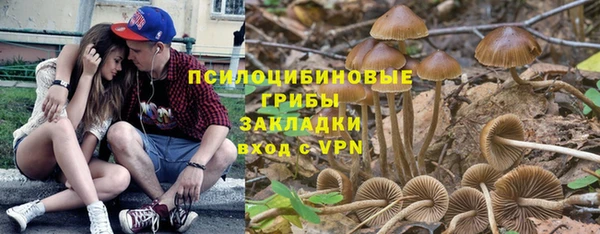 ГАЛЛЮЦИНОГЕННЫЕ ГРИБЫ Алексин