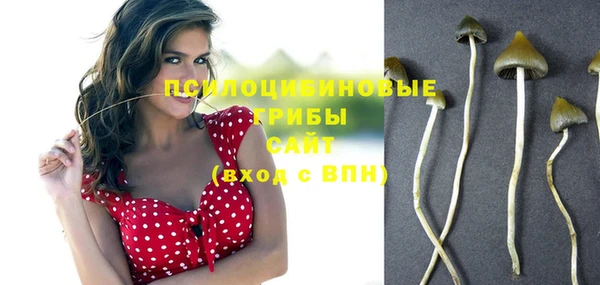 прущий лед Заводоуковск